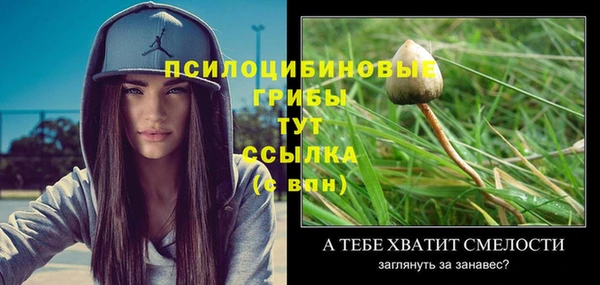 соль курить ск Снежинск